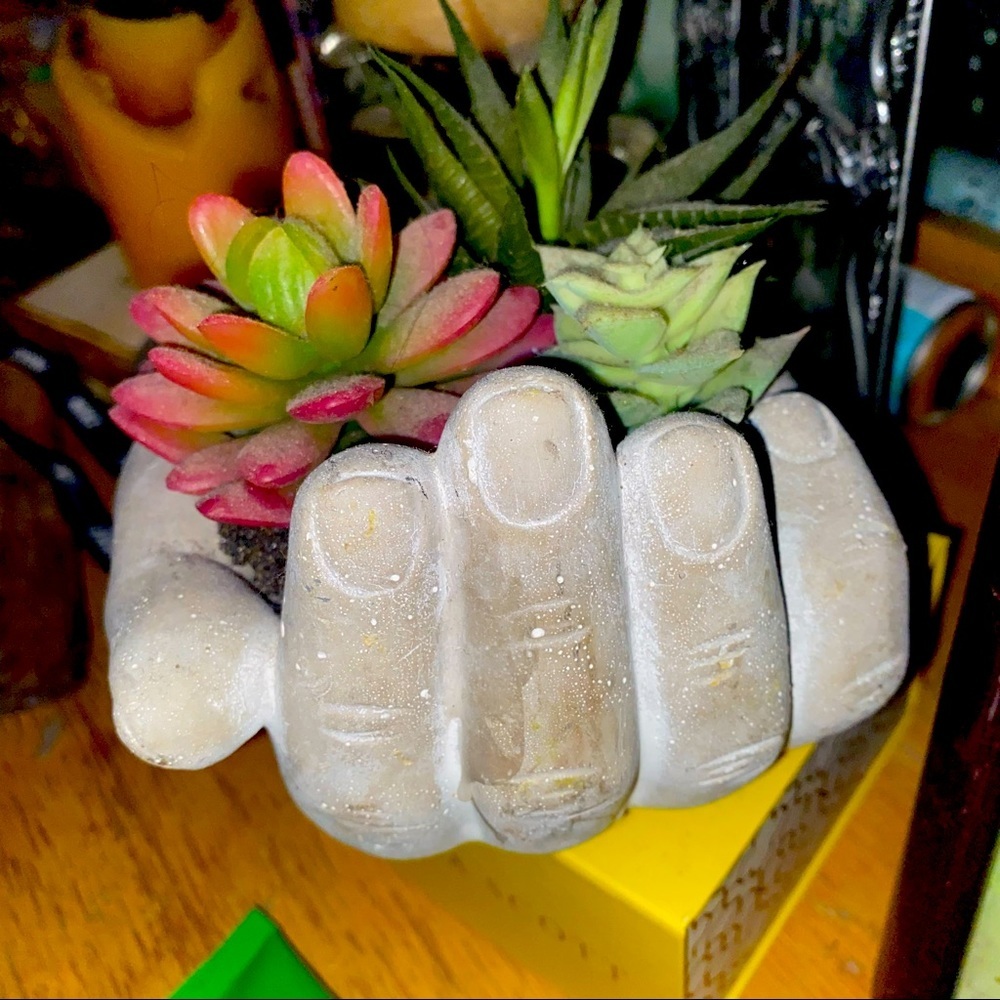 UNIQUE DECOR stone hand holding material-succulents​